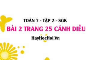 Bài 2 trang 25 Toán 7 Tập 2 Cánh Diều
